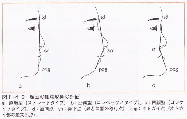 項目1画像